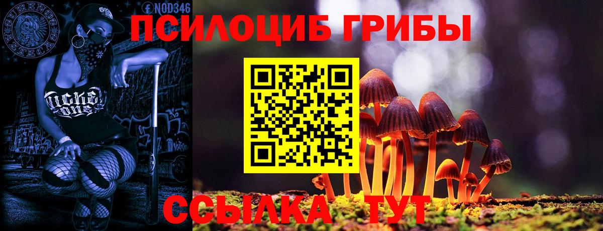 Галлюциногенные грибы Magic Shrooms Зеленодольск